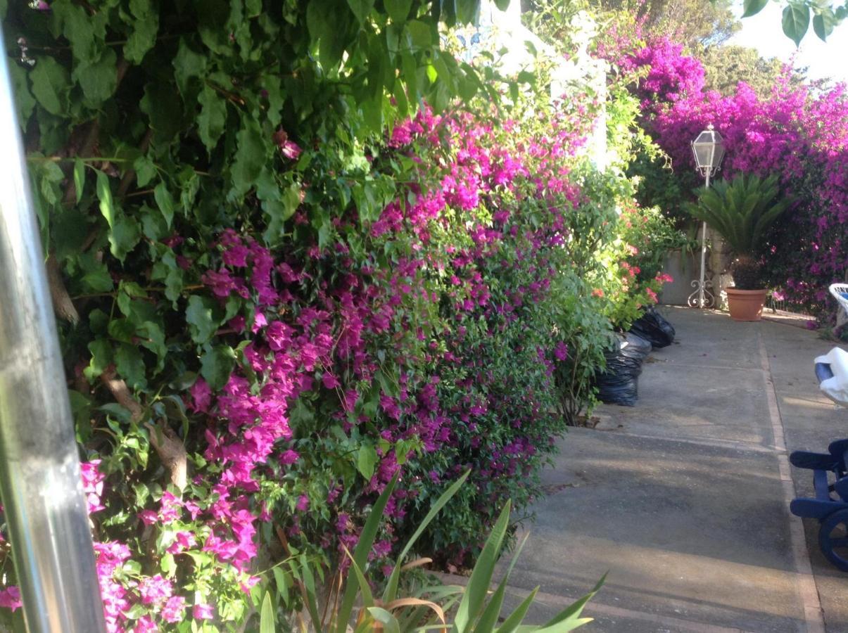 Bb La Guardiia Bed and Breakfast Ανακάπρι Εξωτερικό φωτογραφία