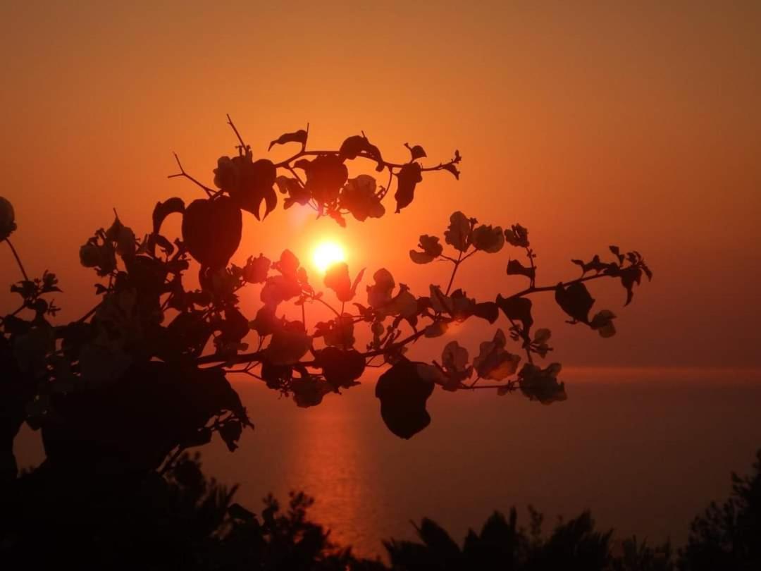 Bb La Guardiia Bed and Breakfast Ανακάπρι Εξωτερικό φωτογραφία