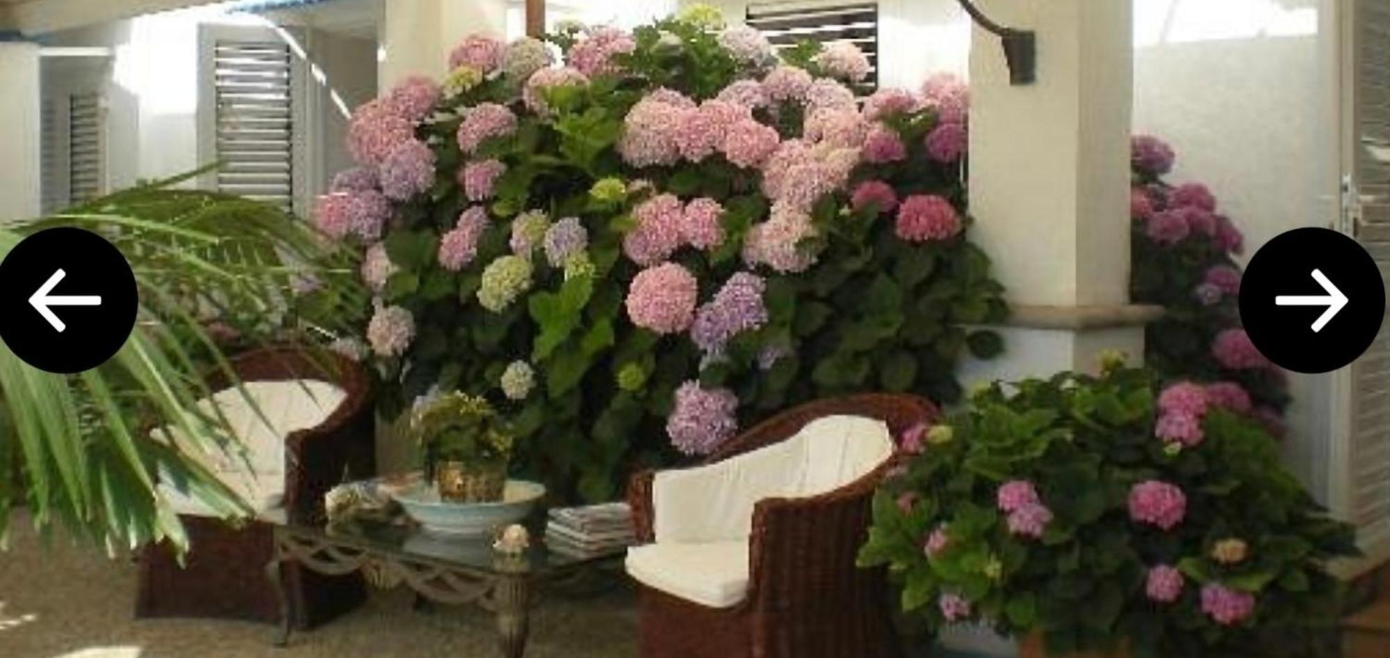 Bb La Guardiia Bed and Breakfast Ανακάπρι Εξωτερικό φωτογραφία